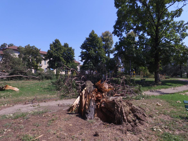 Parco Cicogna: Riapertura Nella Mattinata Del Prossimo 14 Ottobre